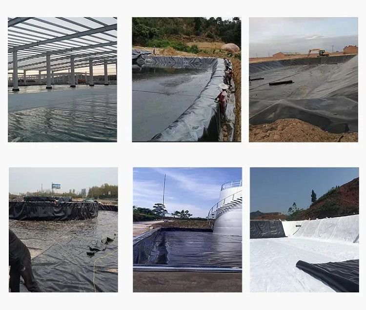 Usage scenarios of Geomembrane Construction Plastic Roll Usage scenarios of Geomembrane Construction Plastic Roll